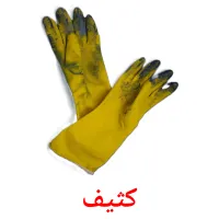 کثیف bildekort