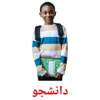 دانشجو picture flashcards