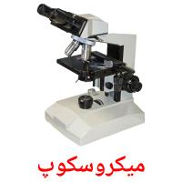میکروسکوپ Tarjetas didacticas