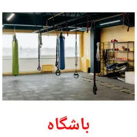 باشگاه picture flashcards
