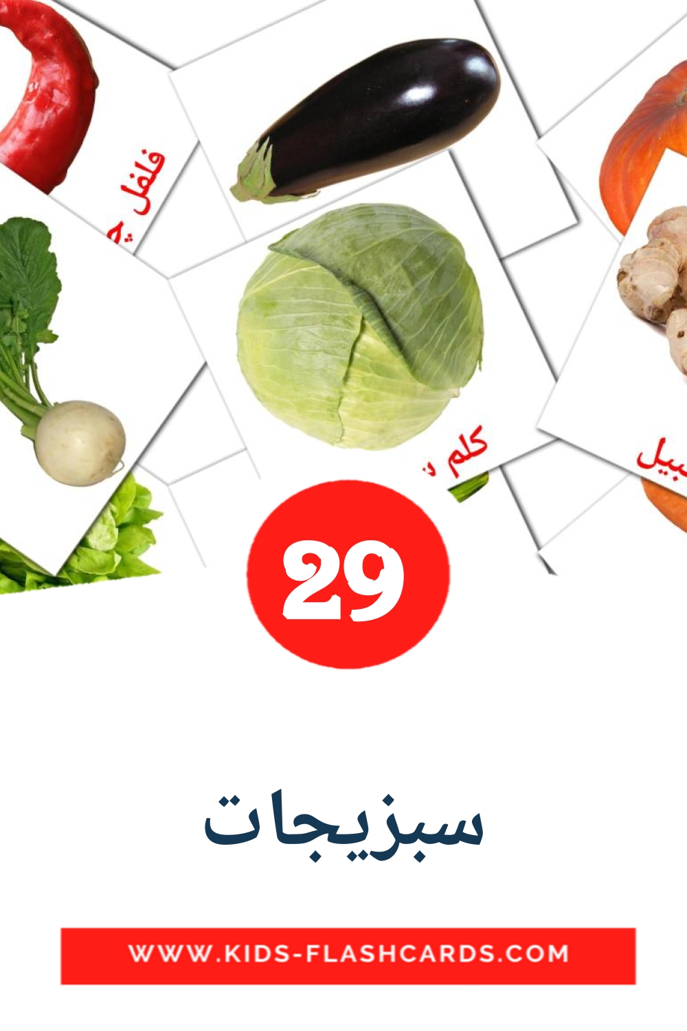29 سبزیجات Bildkarten für den Kindergarten auf Persisch
