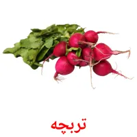 تربچه picture flashcards