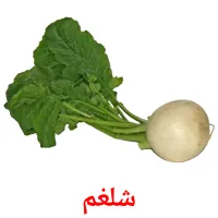 شلغم picture flashcards