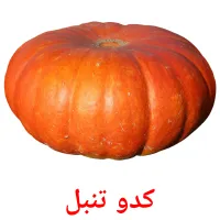 کدو تنبل picture flashcards