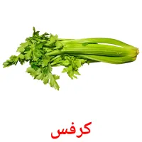 کرفس picture flashcards