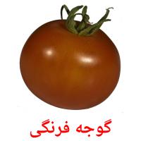 گوجه فرنگی picture flashcards