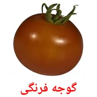 گوجه فرنگی picture flashcards