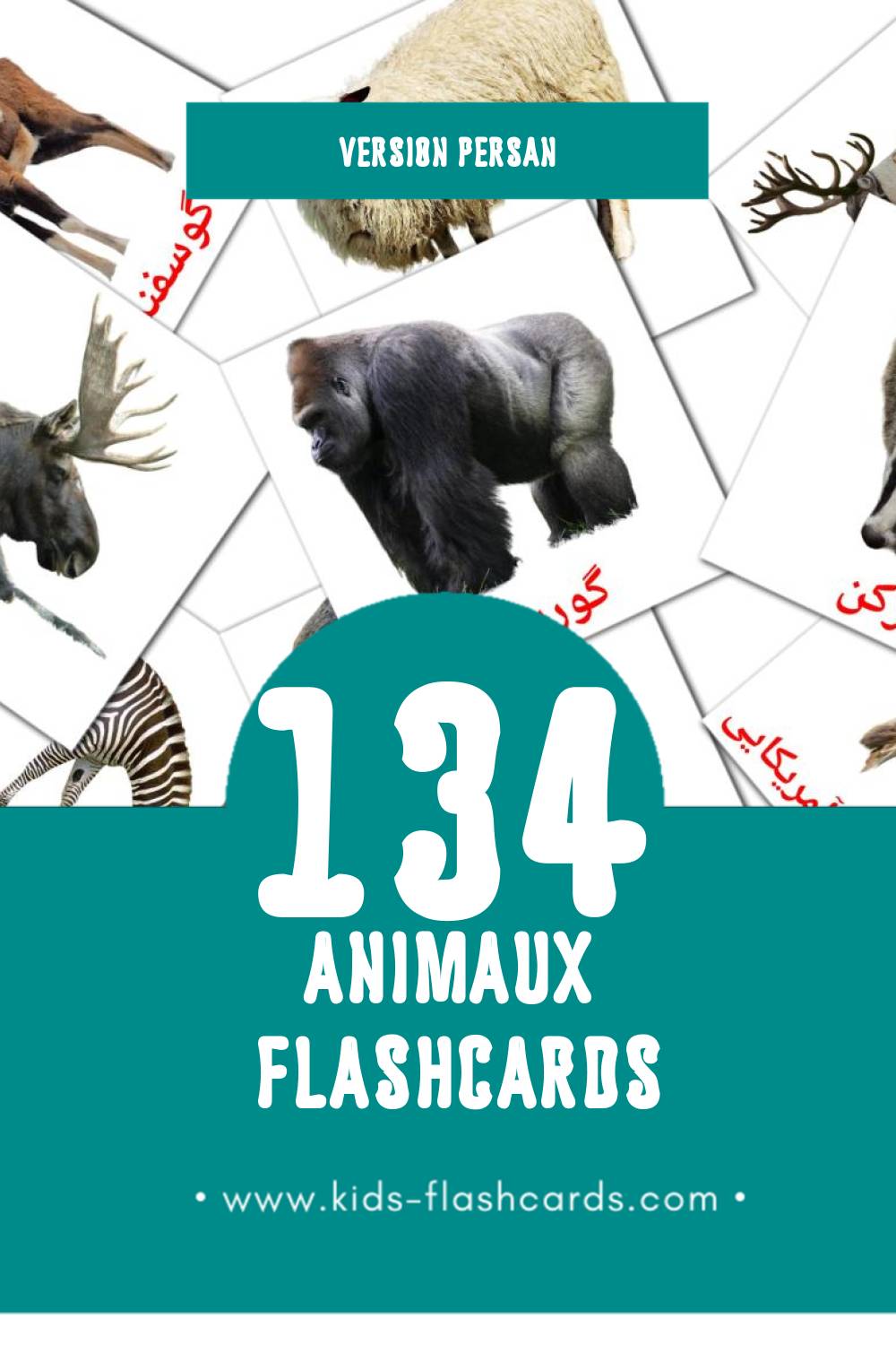 Flashcards Visual حیوانات pour les tout-petits (134 cartes en Persan)