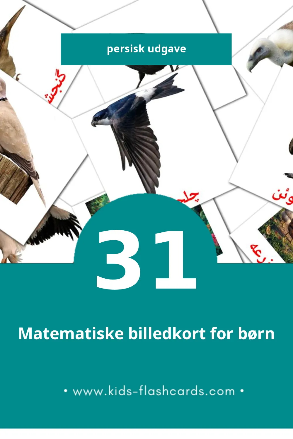 Visuelle billedkort for børn om پرنده ها til småbørn (31 kort på Persisk)