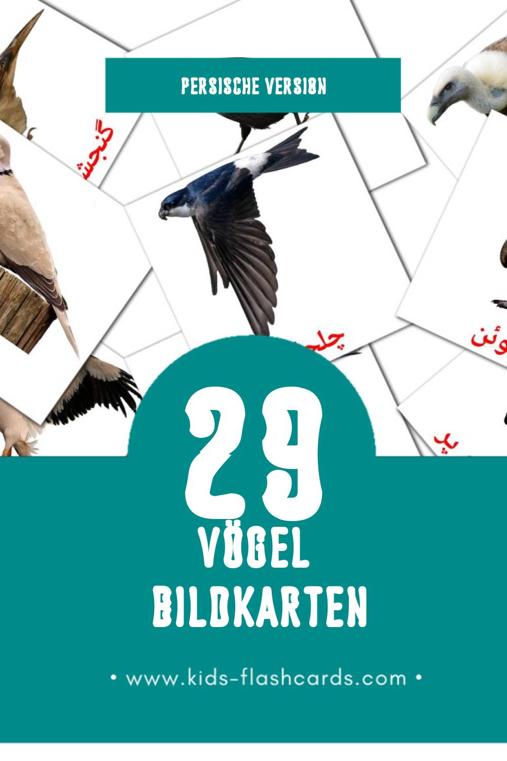 Visual پرنده ها Flashcards für Kleinkinder (29 Karten in Persisch)