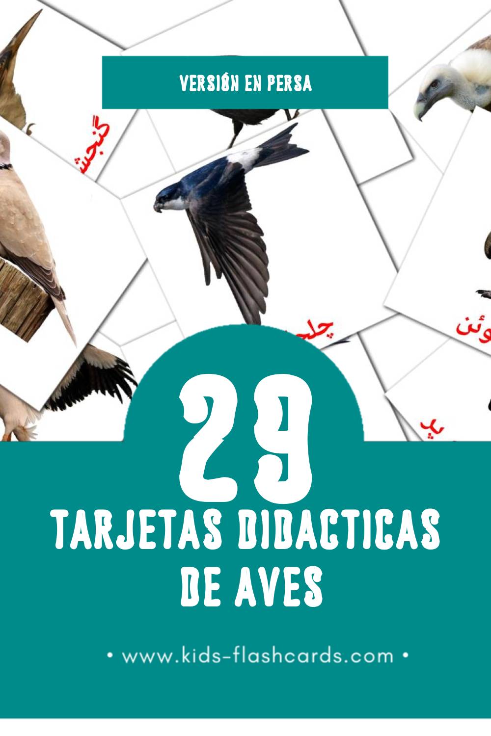 Tarjetas visuales de پرنده ها para niños pequeños (29 tarjetas en Persa)