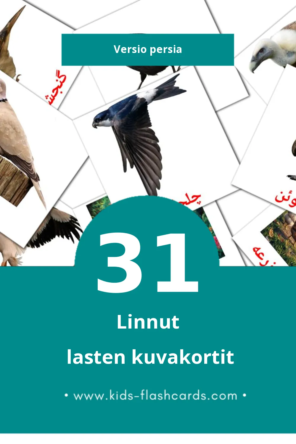 پرنده ها lasten kuvakortit pikkulapsille (31 korttia Persiaksi)