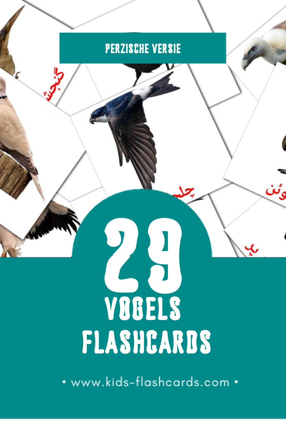 Visuele پرنده ها Flashcards voor Kleuters (29 kaarten in het Perzisch)