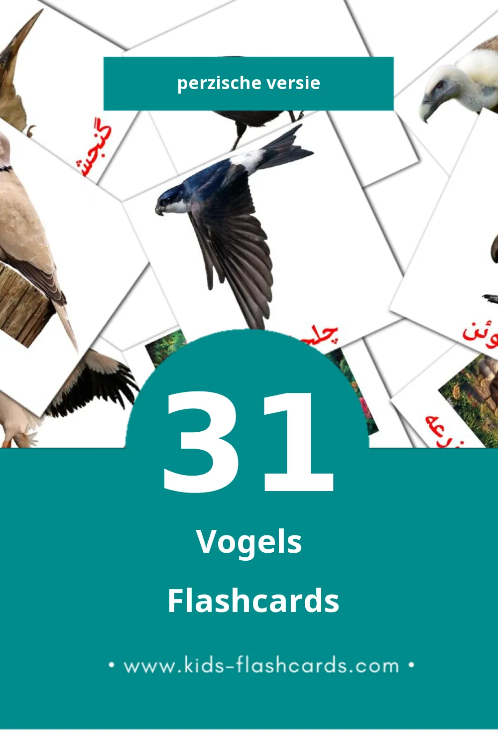 Visuele پرنده ها Flashcards voor Kleuters (31 kaarten in het Perzisch)