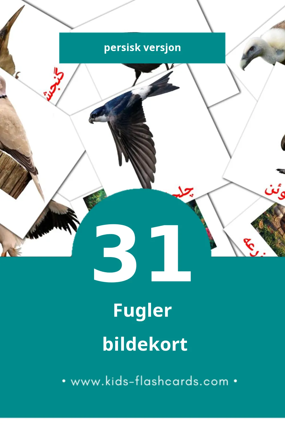 Visuelle پرنده ها bildekort for småbarn (31 kort på Persisk)