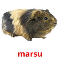 marsu card for translate