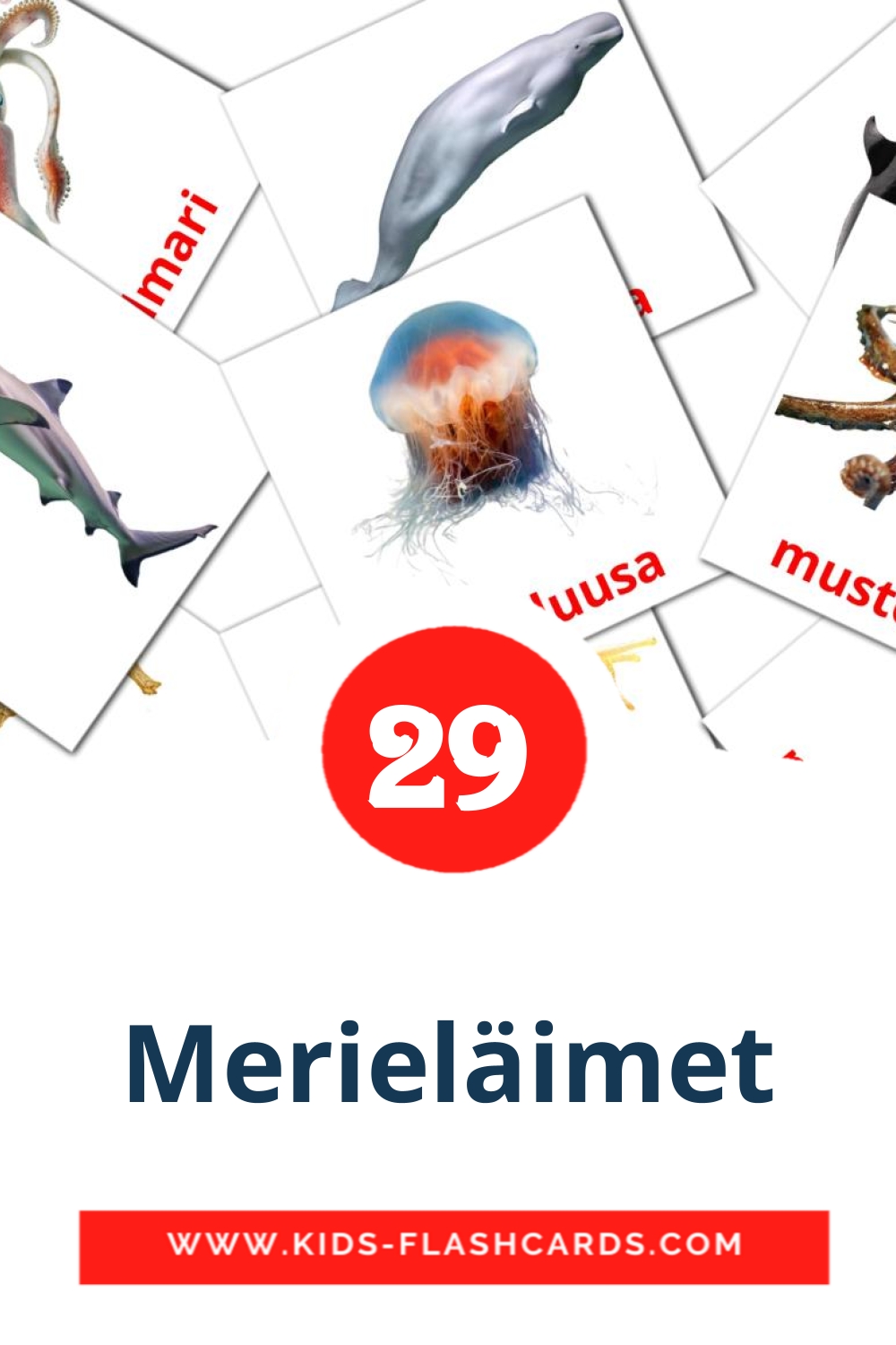 29 Merieläimet Picture Cards for Kindergarden in finnish