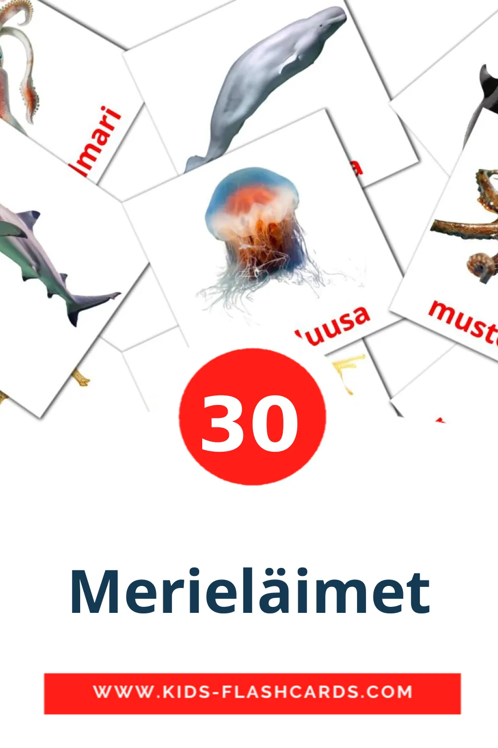 30 tarjetas didacticas de Merieläimet para el jardín de infancia en finlandés