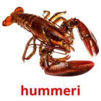 hummeri card for translate