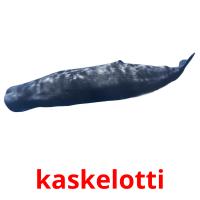 kaskelotti card for translate