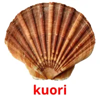 kuori Tarjetas didacticas