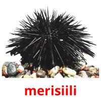 merisiili picture flashcards