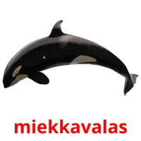 miekkavalas Tarjetas didacticas