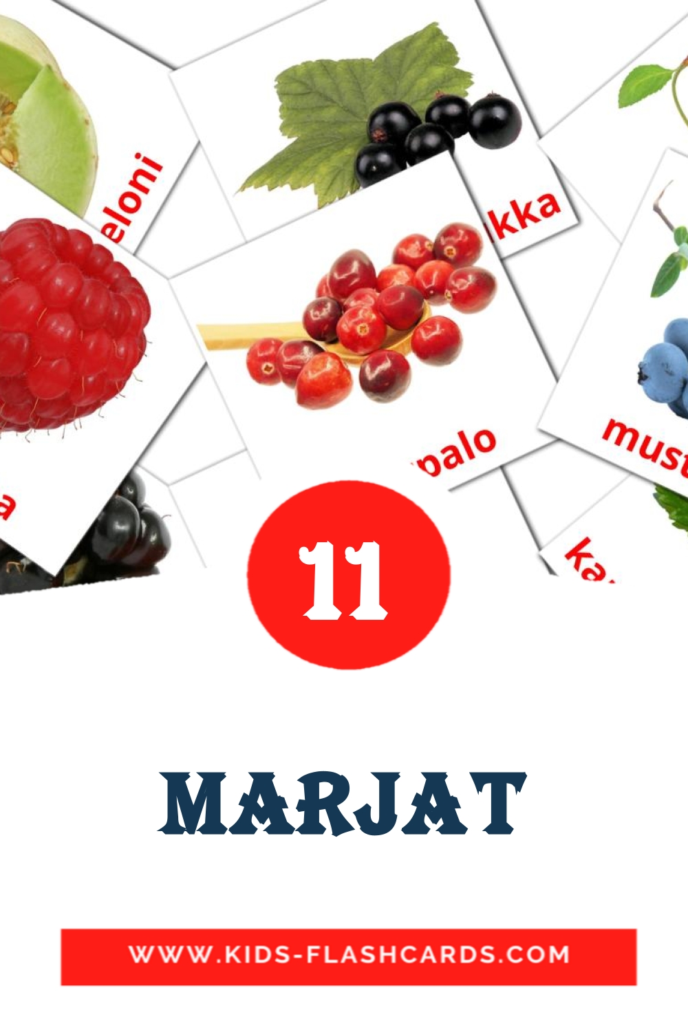 11 Marjat Picture Cards for Kindergarden in finnish