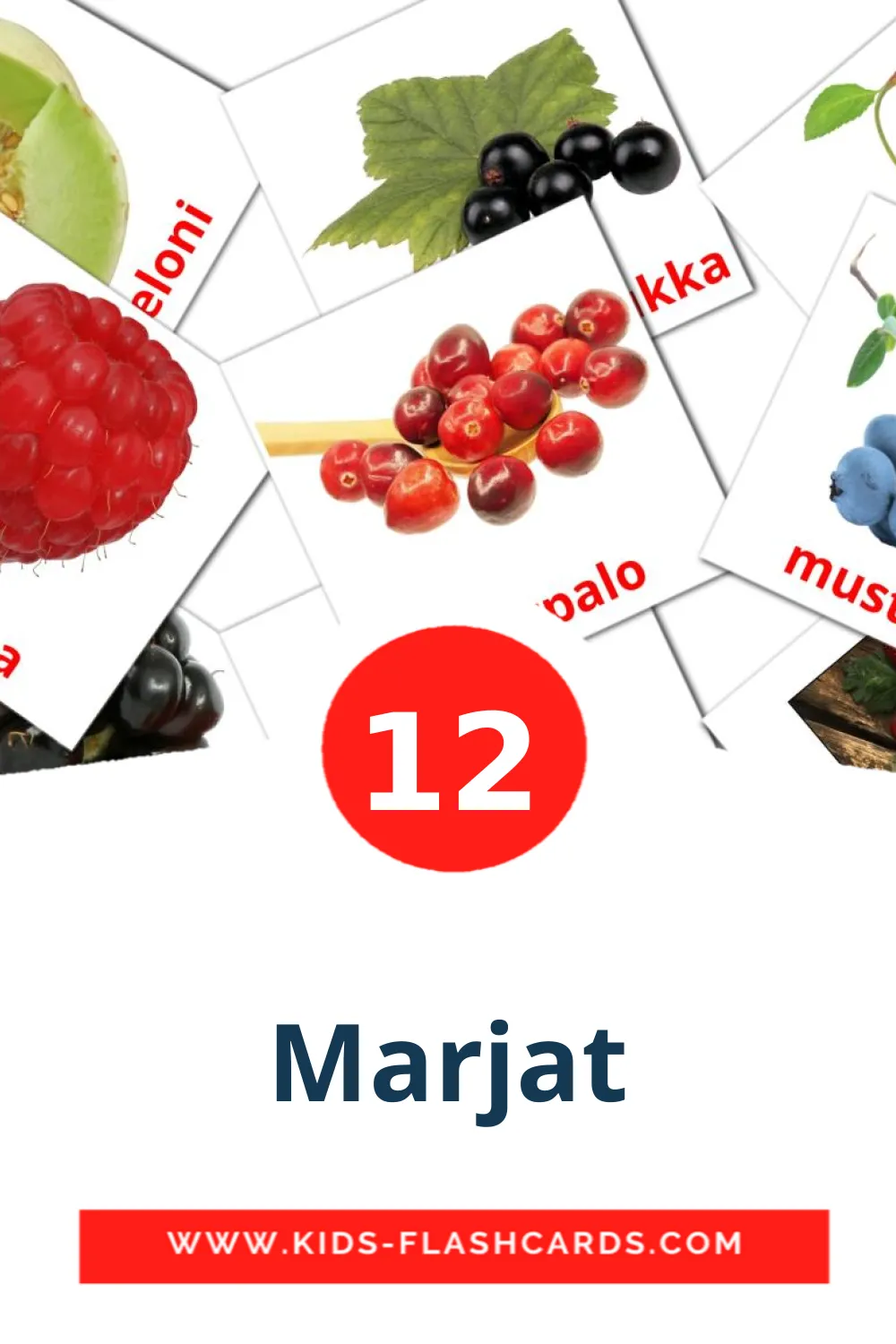 12 tarjetas didacticas de Marjat para el jardín de infancia en finlandés