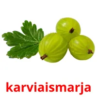 karviaismarja Tarjetas didacticas