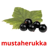 mustaherukka Tarjetas didacticas