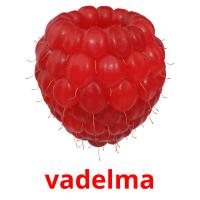 vadelma card for translate