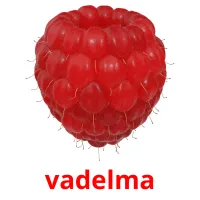 vadelma Tarjetas didacticas