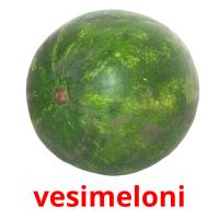 vesimeloni card for translate