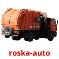 roska-auto flashcards illustrate
