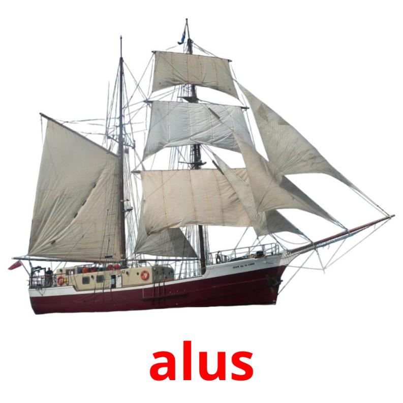 alus picture flashcards