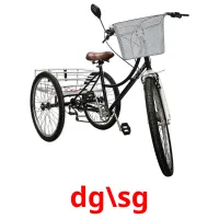 dg\sg Bildkarteikarten