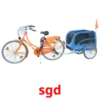 sgd Bildkarteikarten