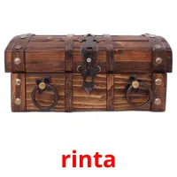 rinta Tarjetas didacticas