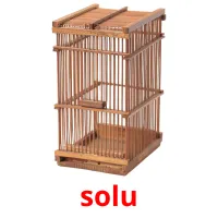 solu Tarjetas didacticas