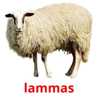 lammas picture flashcards