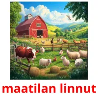 maatilan linnut kuvakortit