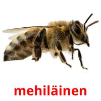 mehiläinen card for translate