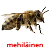 mehiläinen Tarjetas didacticas