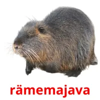 rämemajava Tarjetas didacticas