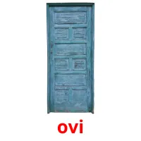 ovi picture flashcards