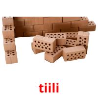 tiili picture flashcards