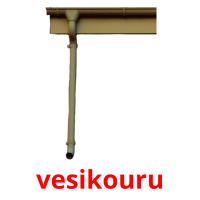 vesikouru card for translate