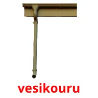 vesikouru picture flashcards