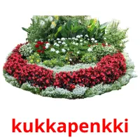 kukkapenkki picture flashcards